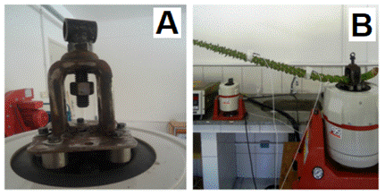 Figure 4 feita.png